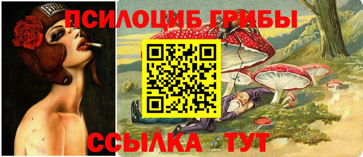 Галлюциногенные грибы Cubensis  Вход с VPN  Астрахань 